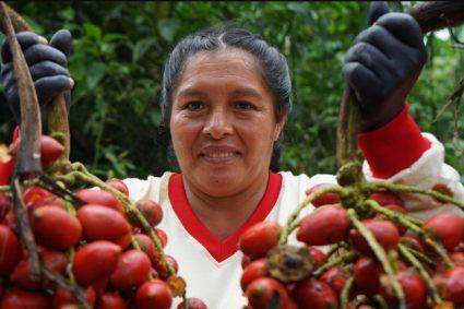 La transición de la escasez a la abundancia: Desvelando la estrategia de los “campesinos de la paz” de Colombia